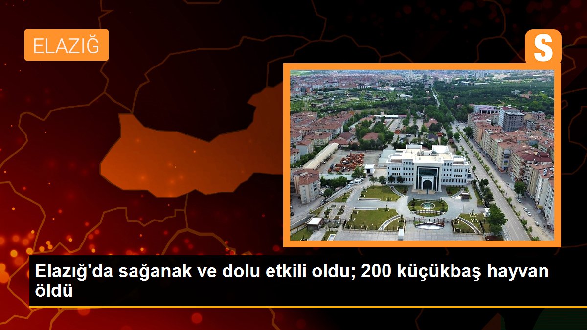 Elazığ\'da sağanak ve dolu etkili oldu; 200 küçükbaş hayvan öldü