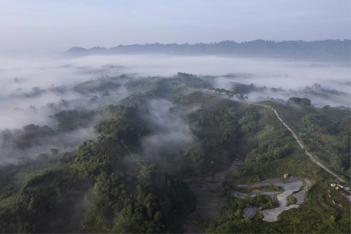 Endonezya\'daki Çay Tarlalarının Etkileyici Manzarası