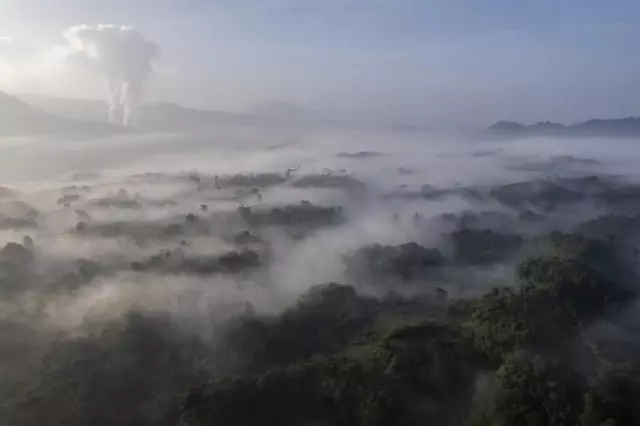 Endonezya'daki Çay Tarlalarının Etkileyici Manzarası