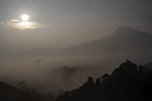 Endonezya'daki Çay Tarlalarının Etkileyici Manzarası