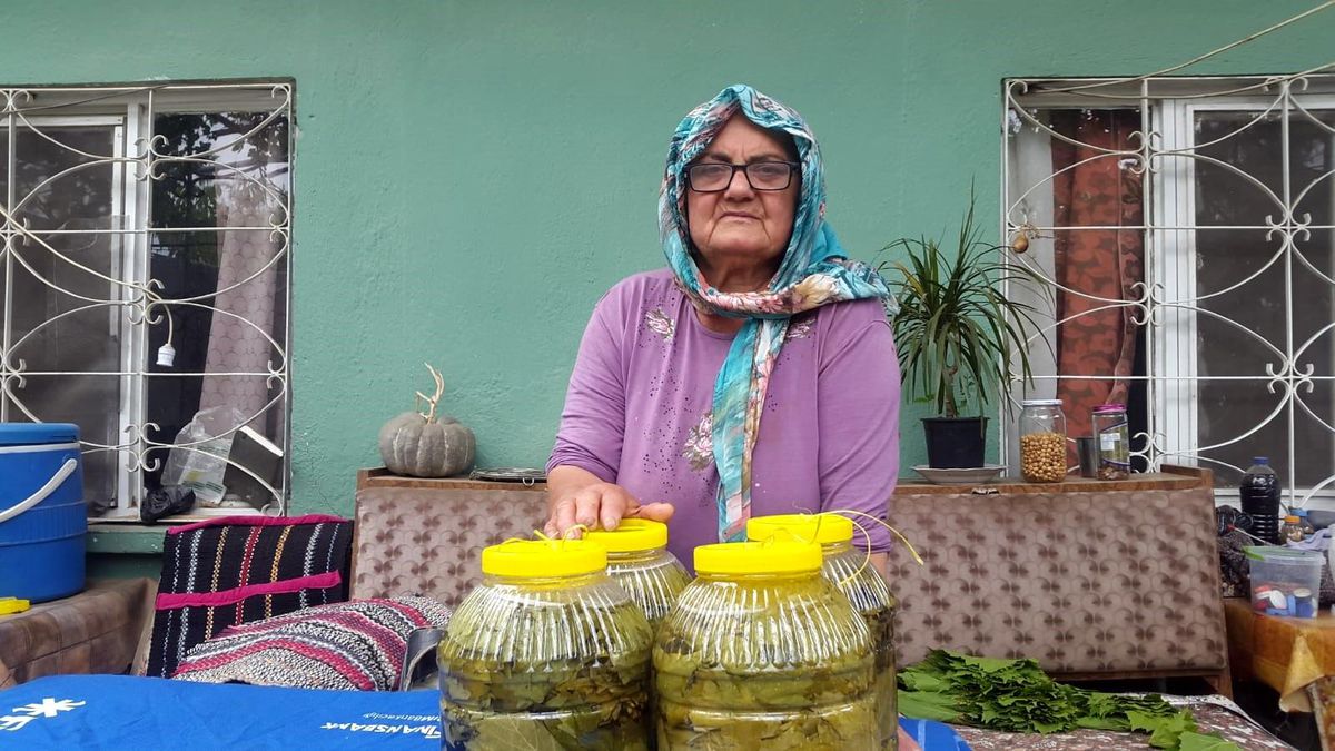 Evlerde kışlık salamura yaprak hazırlığı başladı