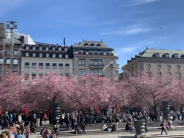 İsveç'te Daimi İkamet İzni Almak İsteyen Yabancılar Sınava Tabi Tutulacak