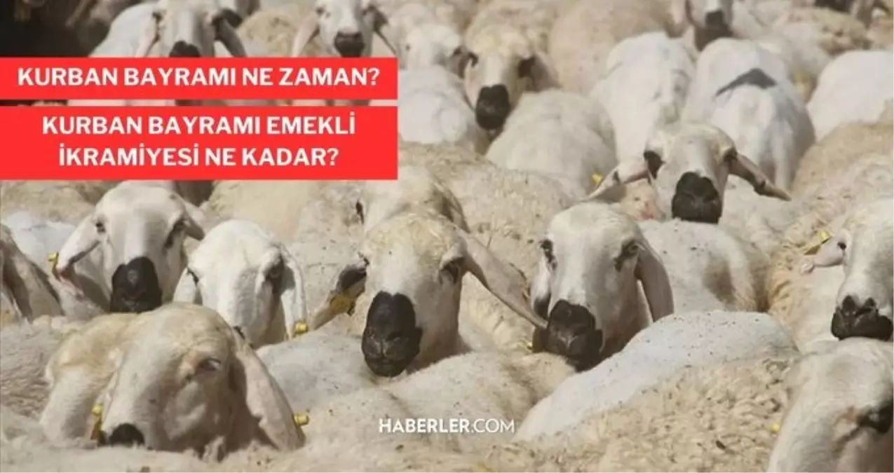 Kurban Bayramına kaç gün kaldı? 2023 Kurban Bayramı ne zaman 2023 Diyanet?