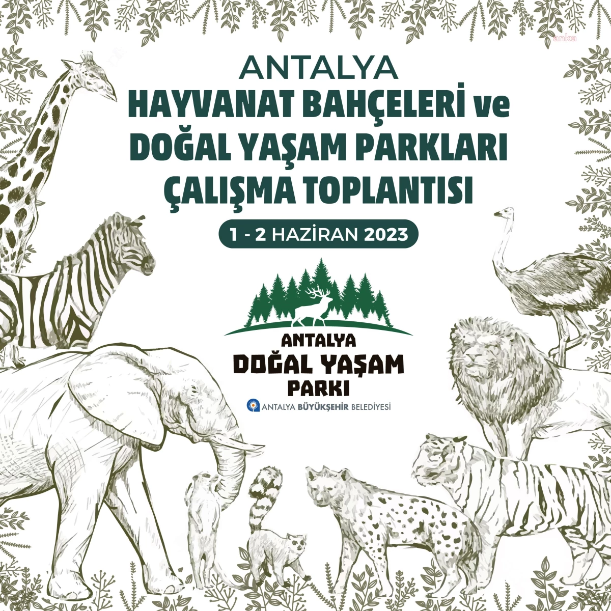 Antalya, \'Hayvanat Bahçeleri ve Doğal Yaşam Parkları Çalışma Toplantısı\'na Ev Sahipliği Yapacak