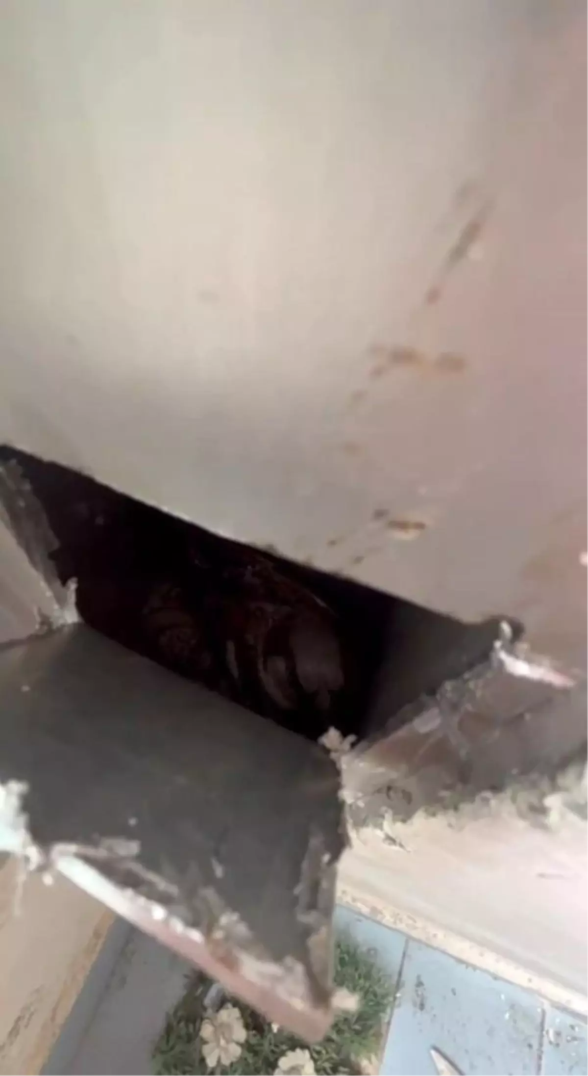 Serçe alüminyum boruya sıkıştı, itfaiye kurtardı