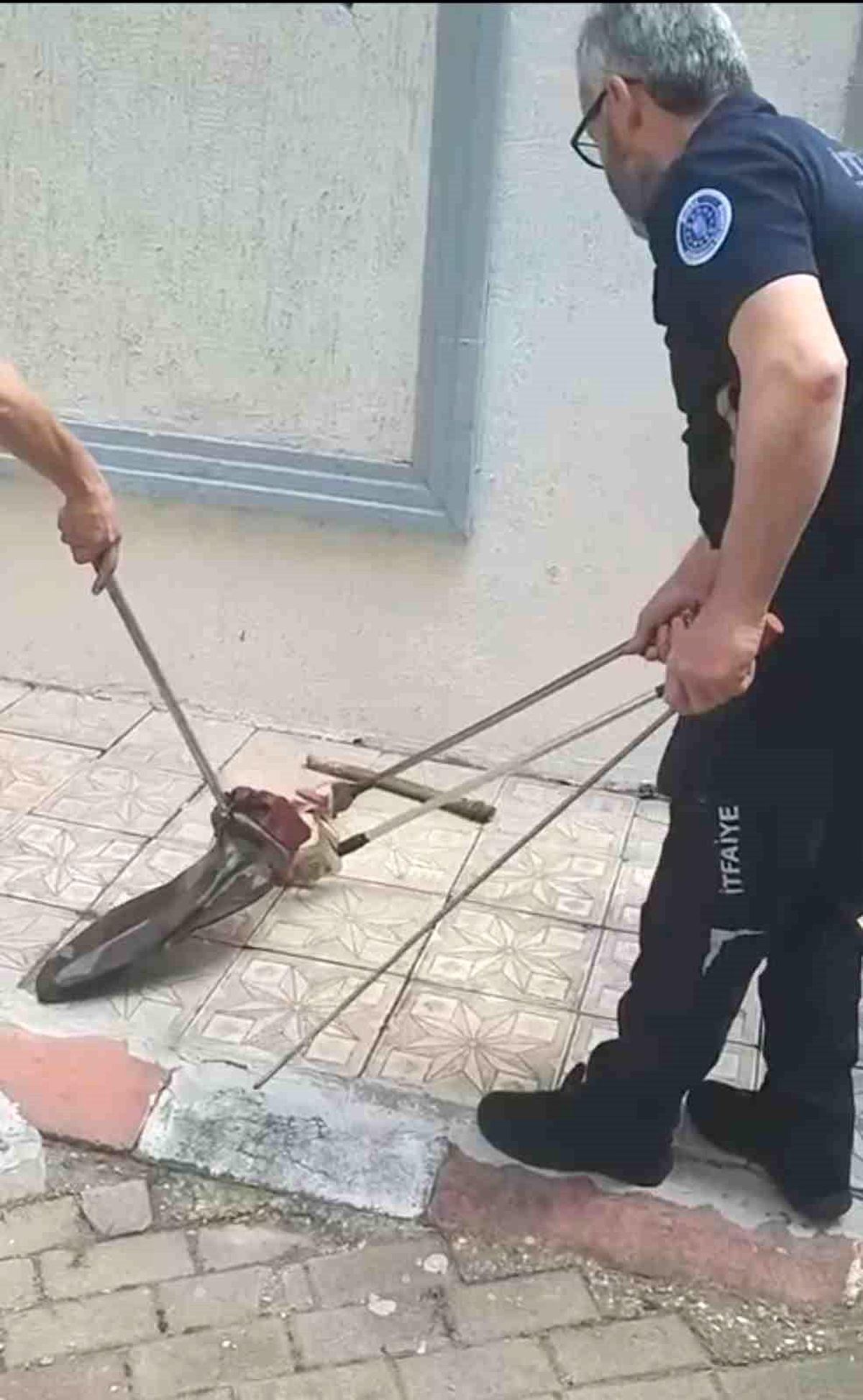 Bursa\'da Yılan Paniği: İtfaiye Ekipleri Yakaladı