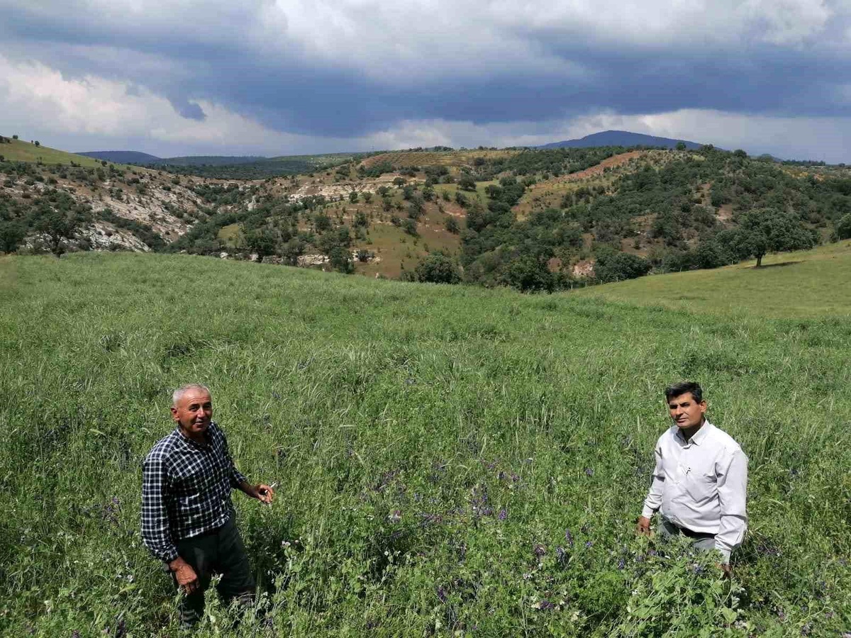 Manisa\'da \'Kendi Yemini Kendin Üret\' projesi hayata geçirildi