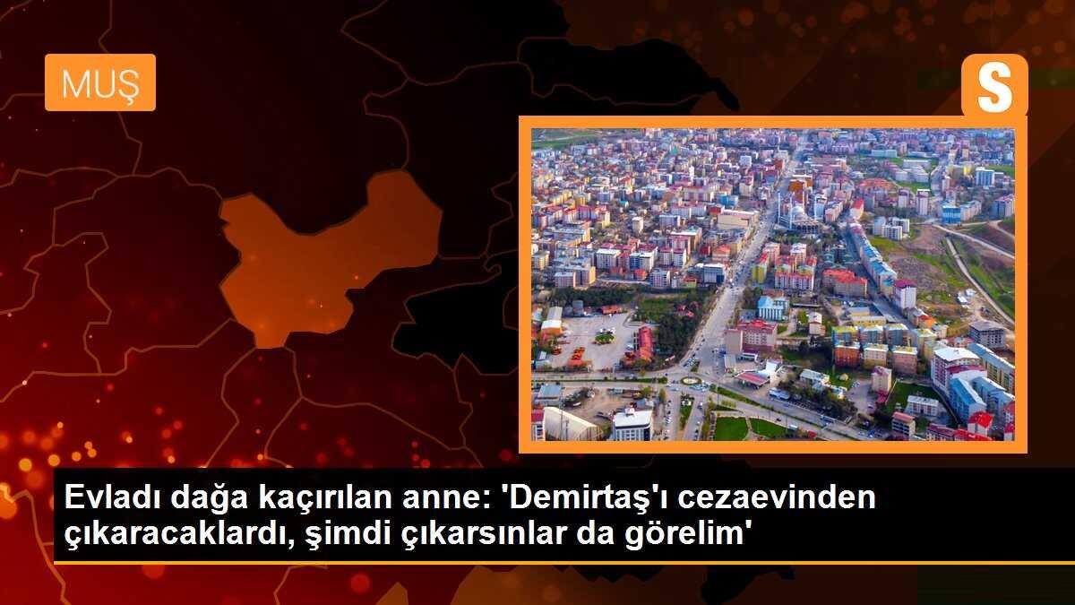 Evladı dağa kaçırılan anne: \'Demirtaş\'ı cezaevinden çıkaracaklardı, şimdi çıkarsınlar da görelim\'