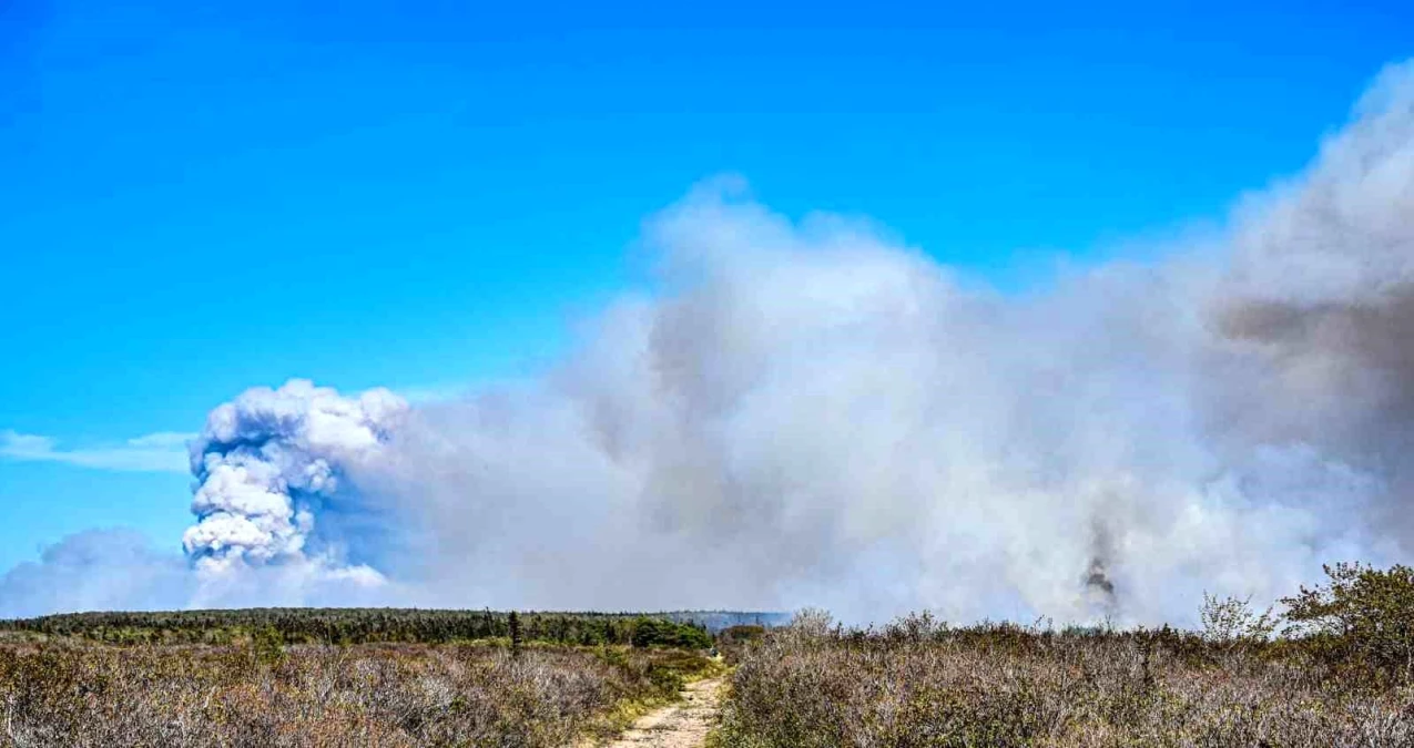 Kanada\'da Orman Yangınları Nedeniyle Bölge Tahliye Ediliyor