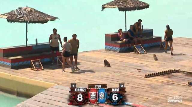 Survivor ödül oyununu kim kazandı, hangi takım, ödülü ne? 31 Mayıs Çarşamba 2023 ödül oyunu ödülü nedir? Survivor ödül oyunu kaç kaç bitti?