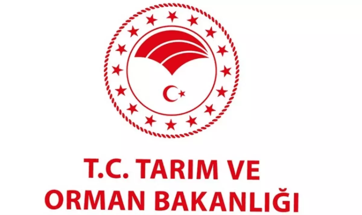 Yeni Tarım ve Orman Bakanı kim olacak 2023? Yeni Tarım ve Orman Bakanı kim olacak?