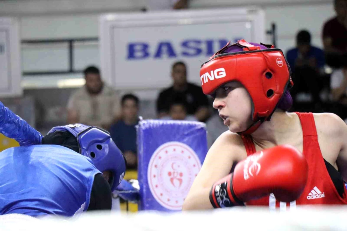848 Sporcu Türkiye Ferdi Boks Şampiyonası\'nda Mücadele Ediyor