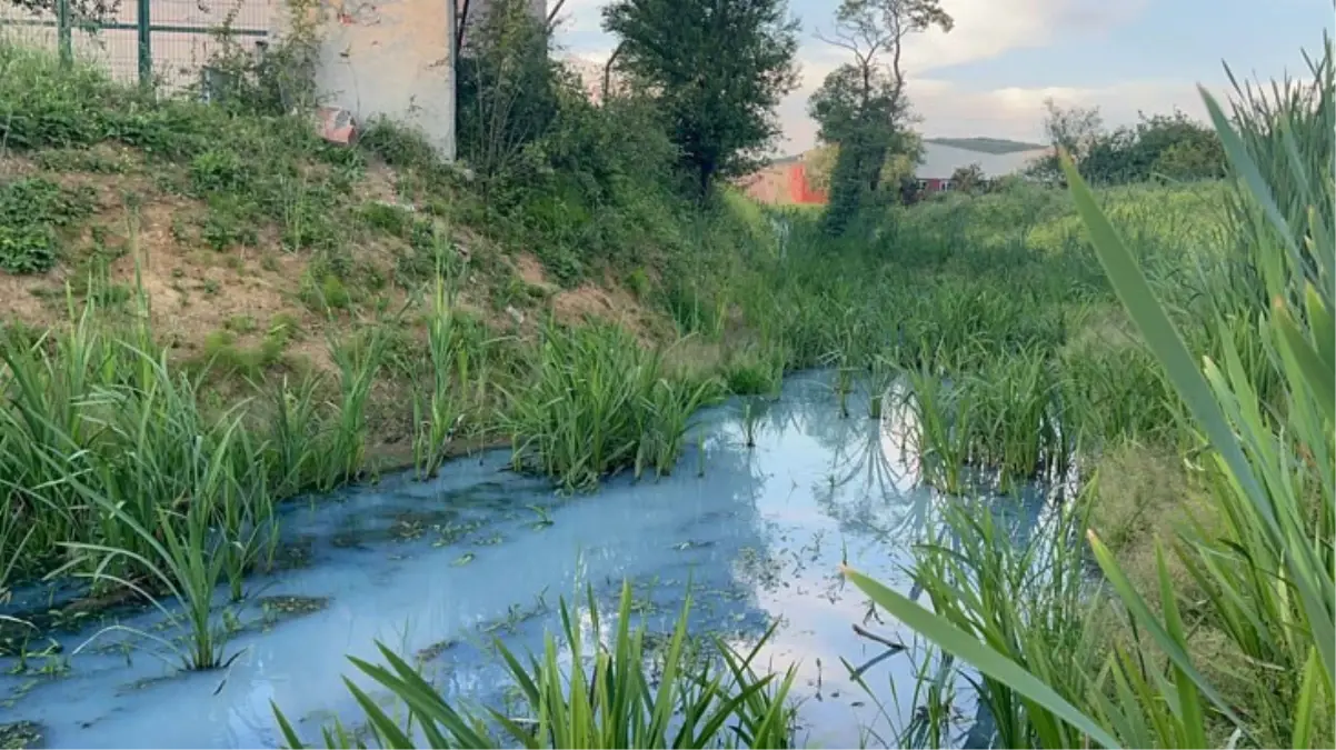 Arnavutköy\'deki derenin rengi maviye döndü! Mahalleli fabrika atıklarından şüpheleniyor