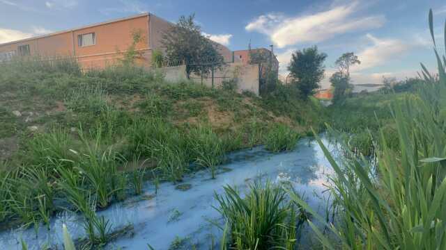 Arnavutköy'deki derenin rengi maviye döndü, atık sular kaynaklı iddiası