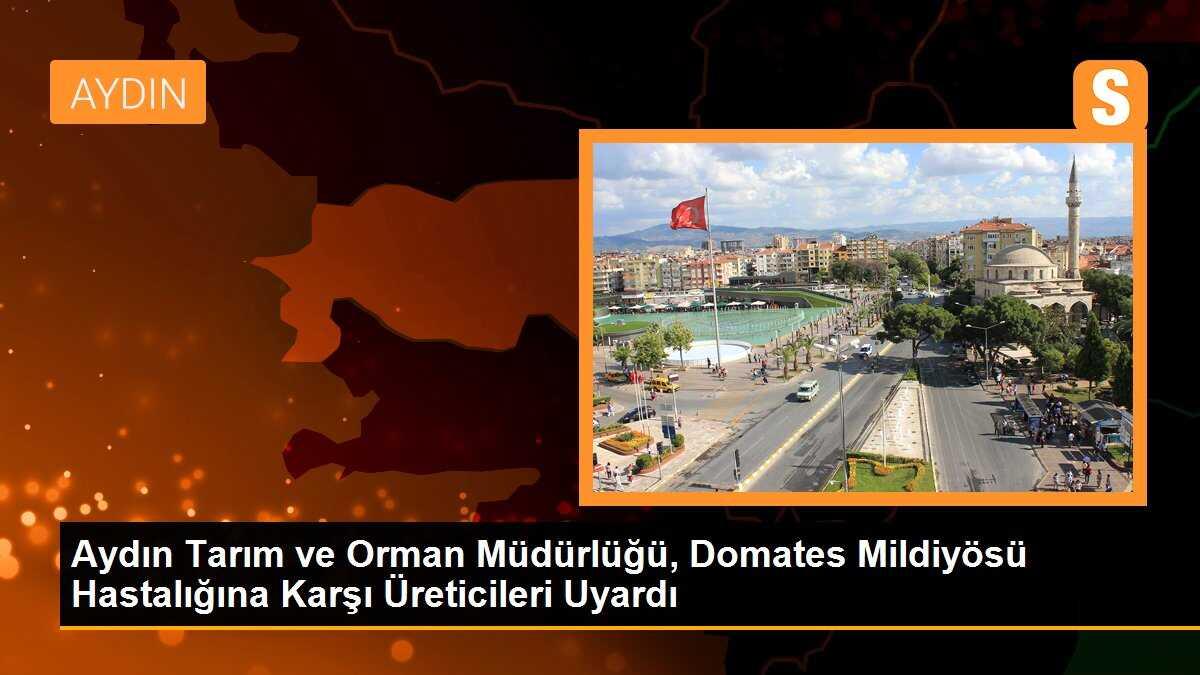 Aydın Tarım ve Orman Müdürlüğü, Domates Mildiyösü Hastalığına Karşı Üreticileri Uyardı