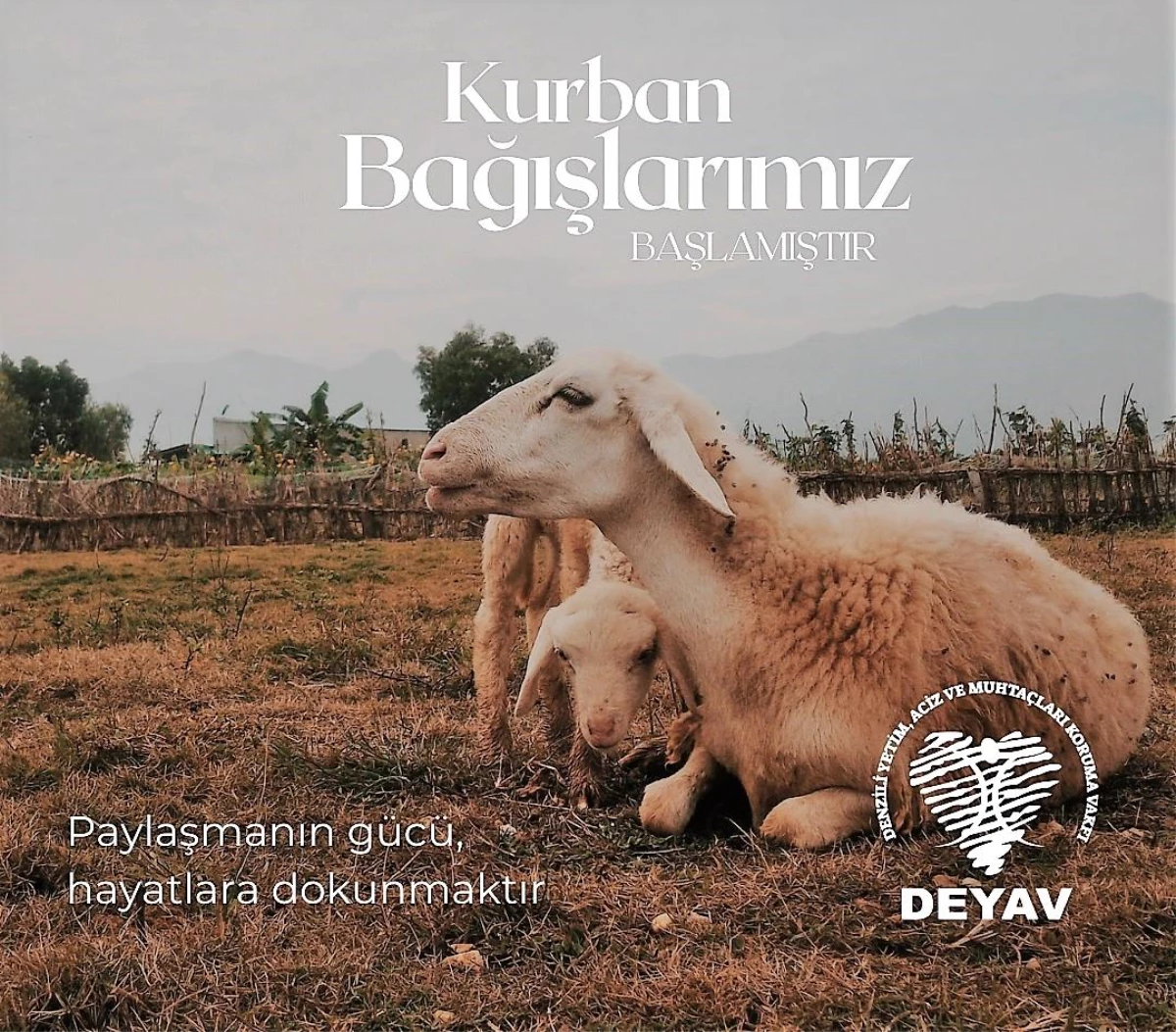 DEYAV Kurban Bağışı Kampanyası Başladı