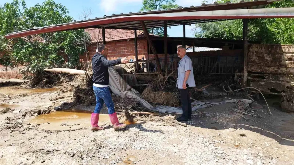 Denizli\'de Şiddetli Yağışın Ardından Oluşan Sel Büyükbaş Hayvanları Sürükledi