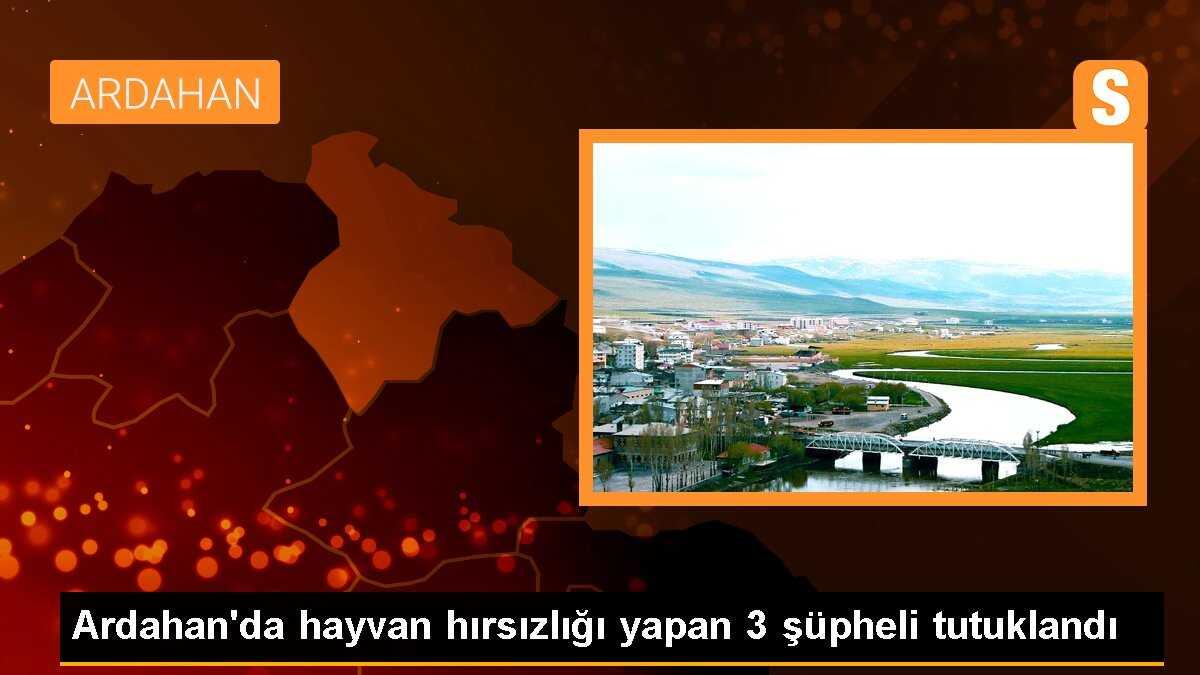 Ardahan\'da 8 Büyükbaş Hayvan Çalma Olayında 3 Şüpheli Tutuklandı