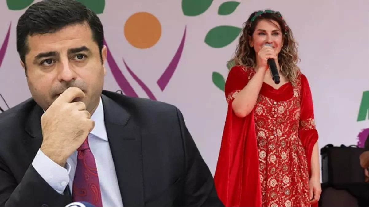 Demirtaş\'ın cumhurbaşkanı adayı olarak önerdiği iddia edilen kadın kim?