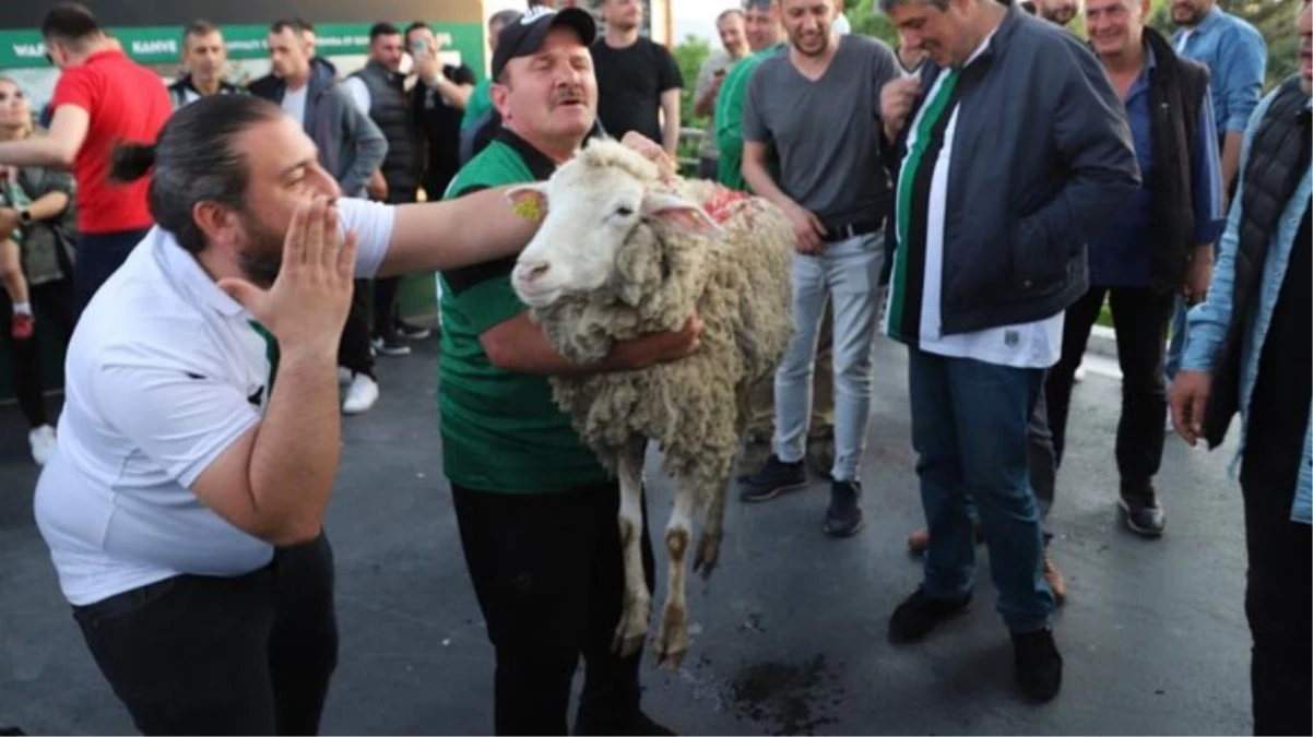 Kocaelispor taraftarlarından eşi benzeri görülmemiş koyunlu istifa çağrısı