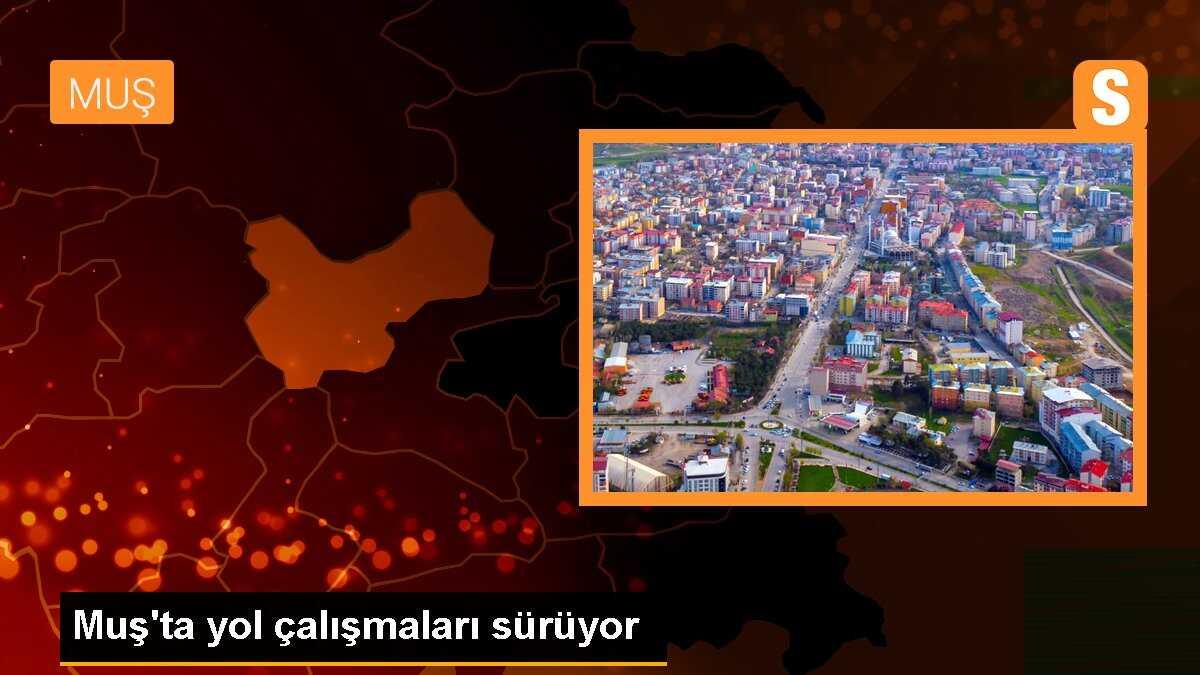 Muş\'ta Yol Çalışmaları Sürüyor
