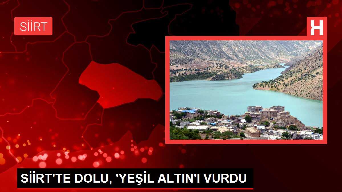 SİİRT'TE DOLU, 'YEŞİL ALTIN'I VURDU