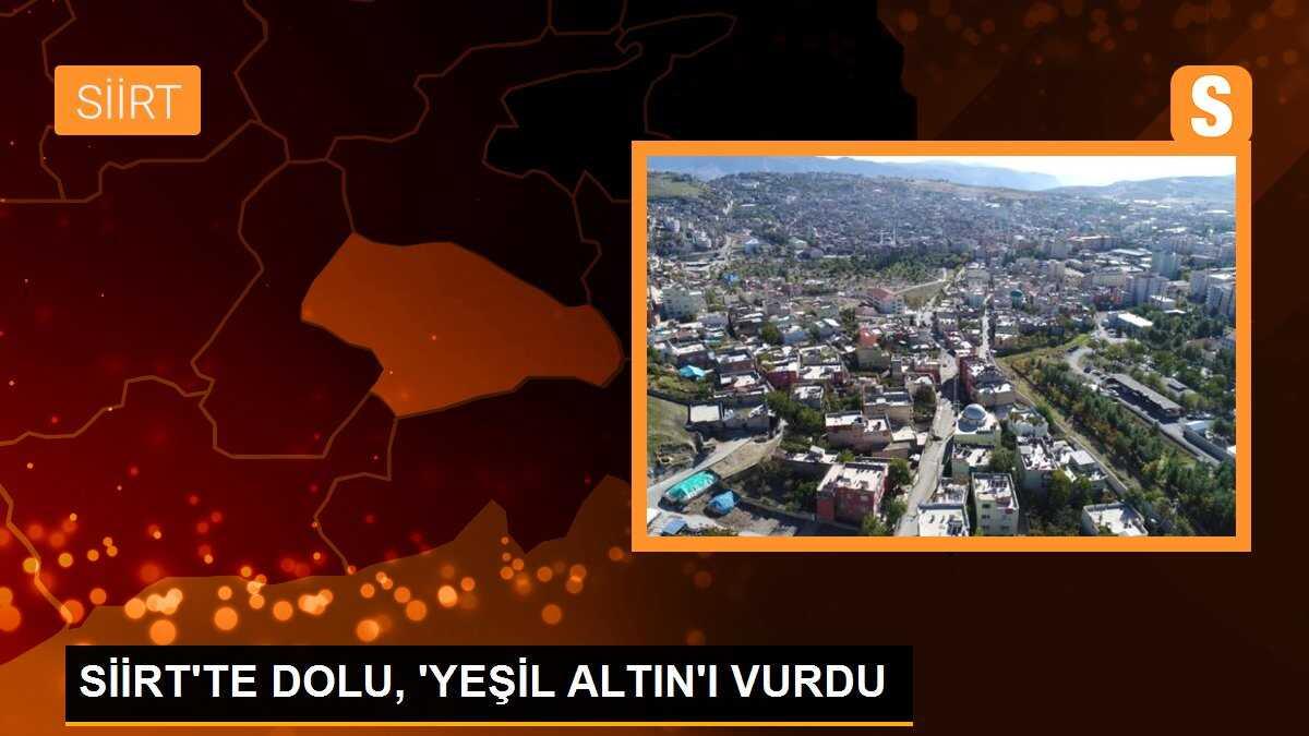 SİİRT\'TE DOLU, \'YEŞİL ALTIN\'I VURDU