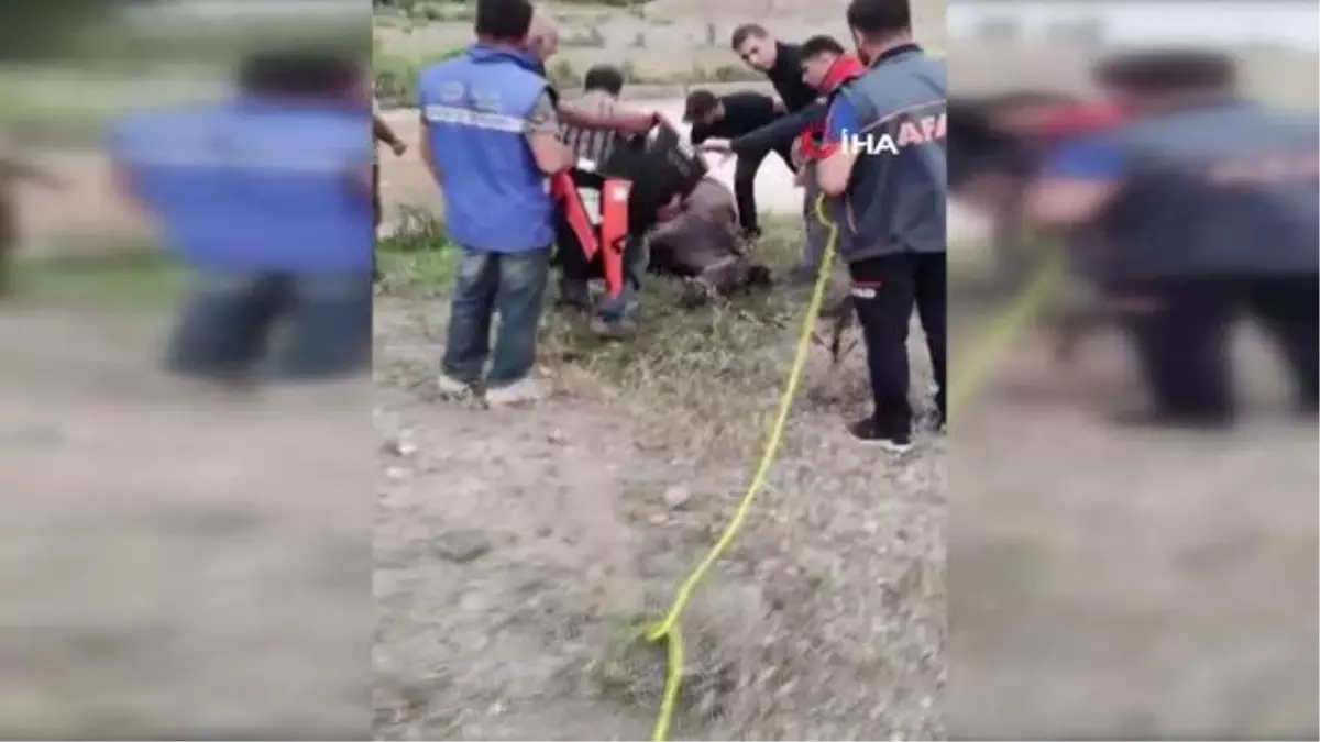 Iğdır\'da Sulama Barajına Düşen At Kurtarıldı