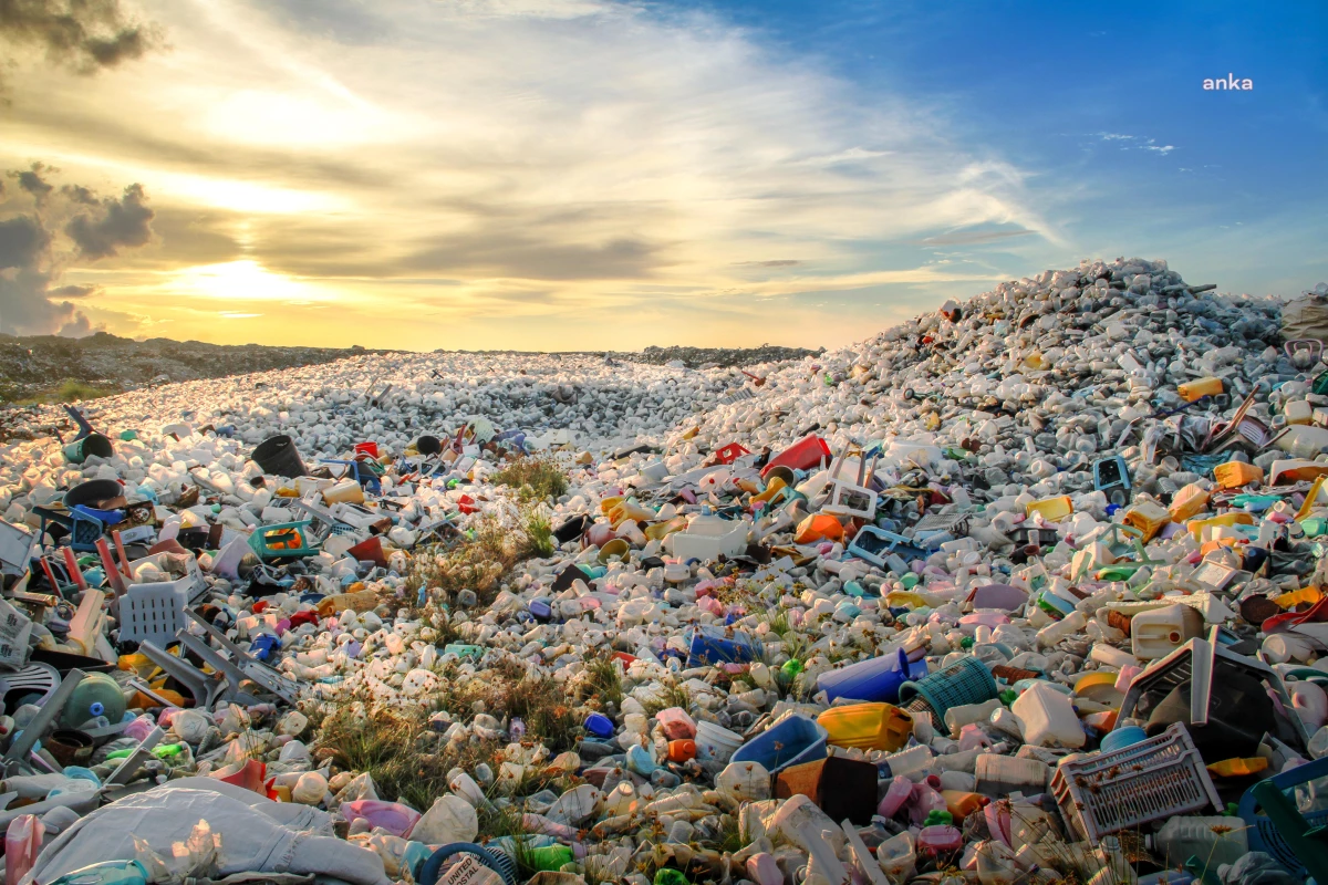 TEMA Vakfı, Dünya Çevre Günü\'nde plastik kirliliğine dikkat çekti