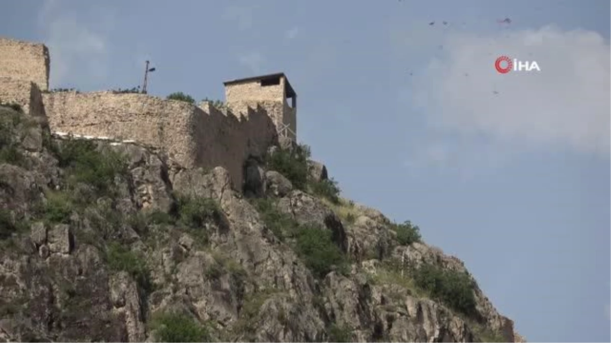 Amasya\'da Cumhurbaşkanı Erdoğan için kaleden top atışları yapıldı