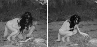 Bahçesine koyduğu kamera başına bela oldu! Geyiği çiğ çiğ yiyen kadınları kaydetti