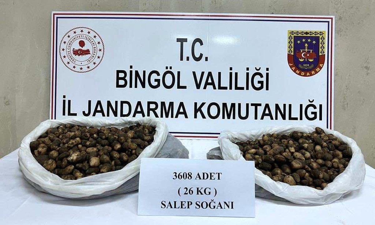Bingöl\'de Salep Soğanı Toplayanlara Yüksek Para Cezası