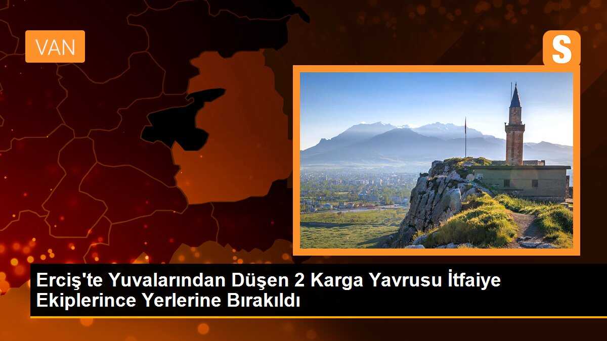 Erciş\'te Yuvalarından Düşen 2 Karga Yavrusu İtfaiye Ekiplerince Yerlerine Bırakıldı
