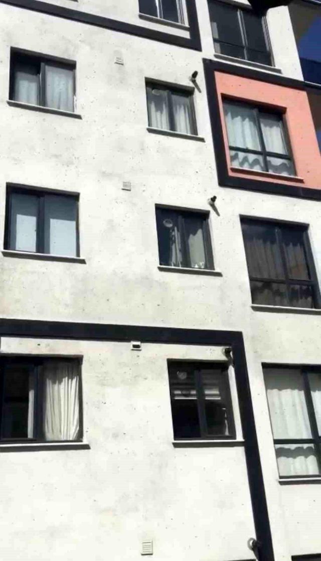 Kağıthane'de arı istilası! Vatandaşlar pencereleri açamadı Kağıthane'de arı istilası! Vatandaşlar pencereleri açamadı