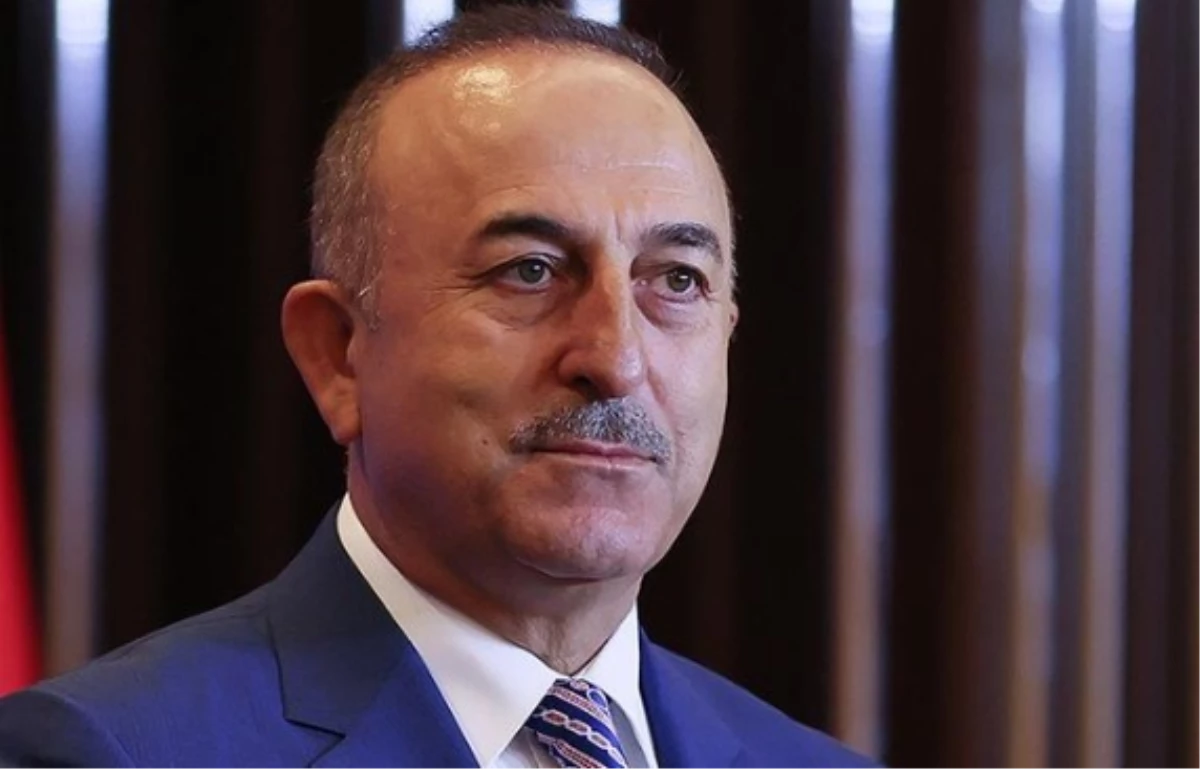 Cumhurbaşkanı Erdoğan yeni kabinesini açıkladı: Mevlüt Çavuşoğlu bakan olarak görevlendirilmedi
