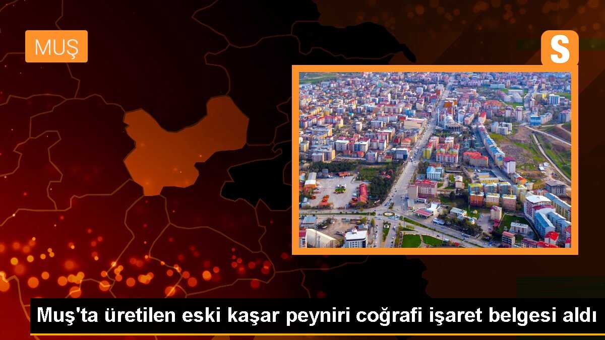 Muş\'ta Eski Kaşar Peyniri Coğrafi İşaret Belgesi Aldı