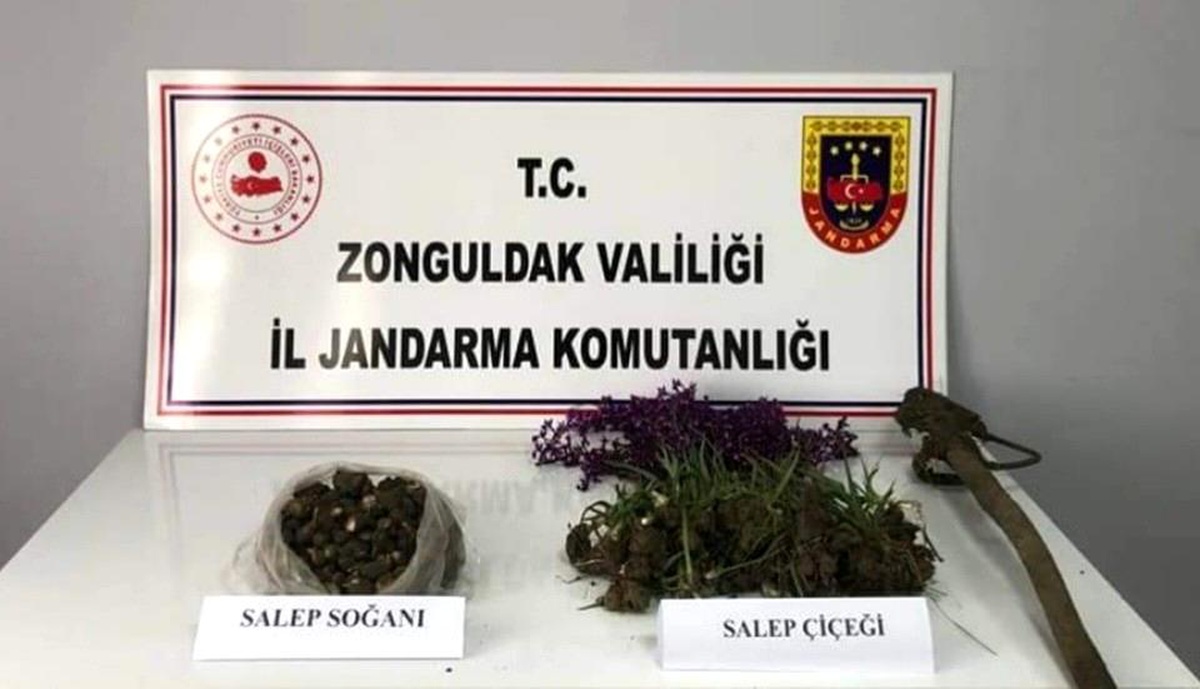 İzinsiz Salep Soğanı Toplayanlara 2 Milyon Lira Cezası