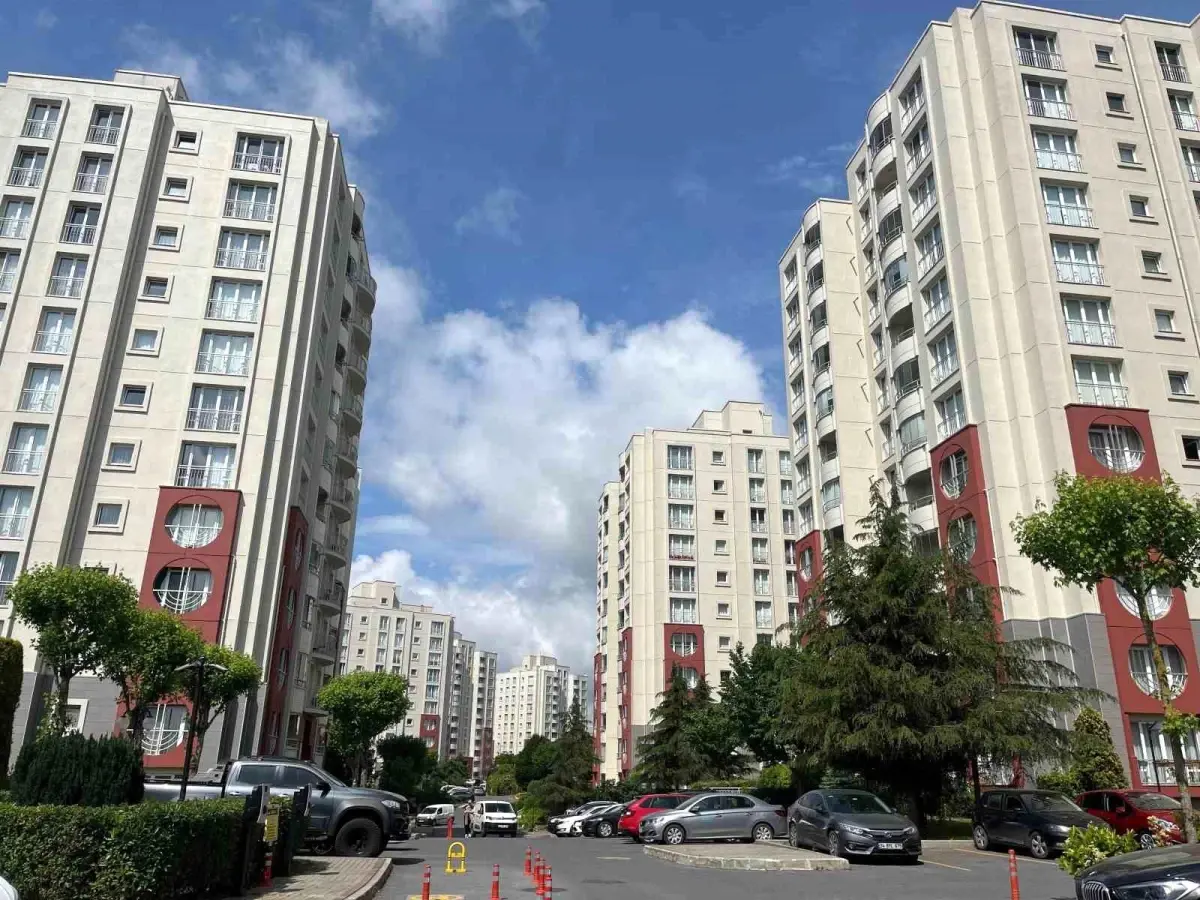 Başakşehir\'de site çalışanları tarafından toplanan kediler boş arazilere bırakıldı