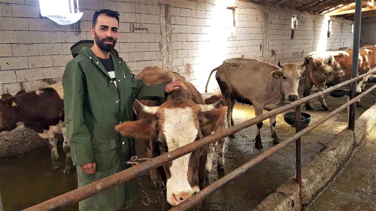 Karabük\'te genç çiftçi devlet desteğiyle hayvancılık işini büyüttü