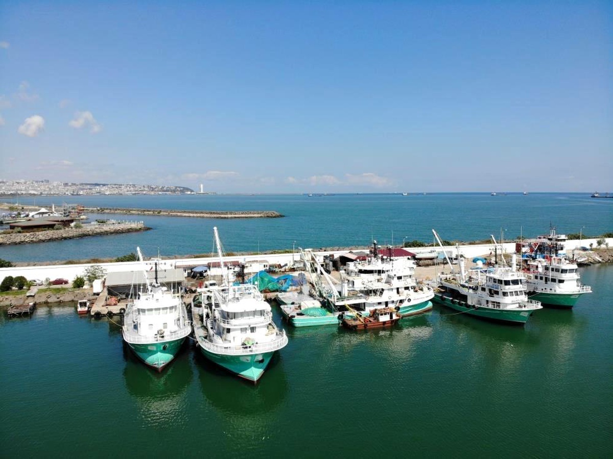 Samsun\'dan Hayvansal Ürün İhracatı: 43 Milyon Dolar Kazanç