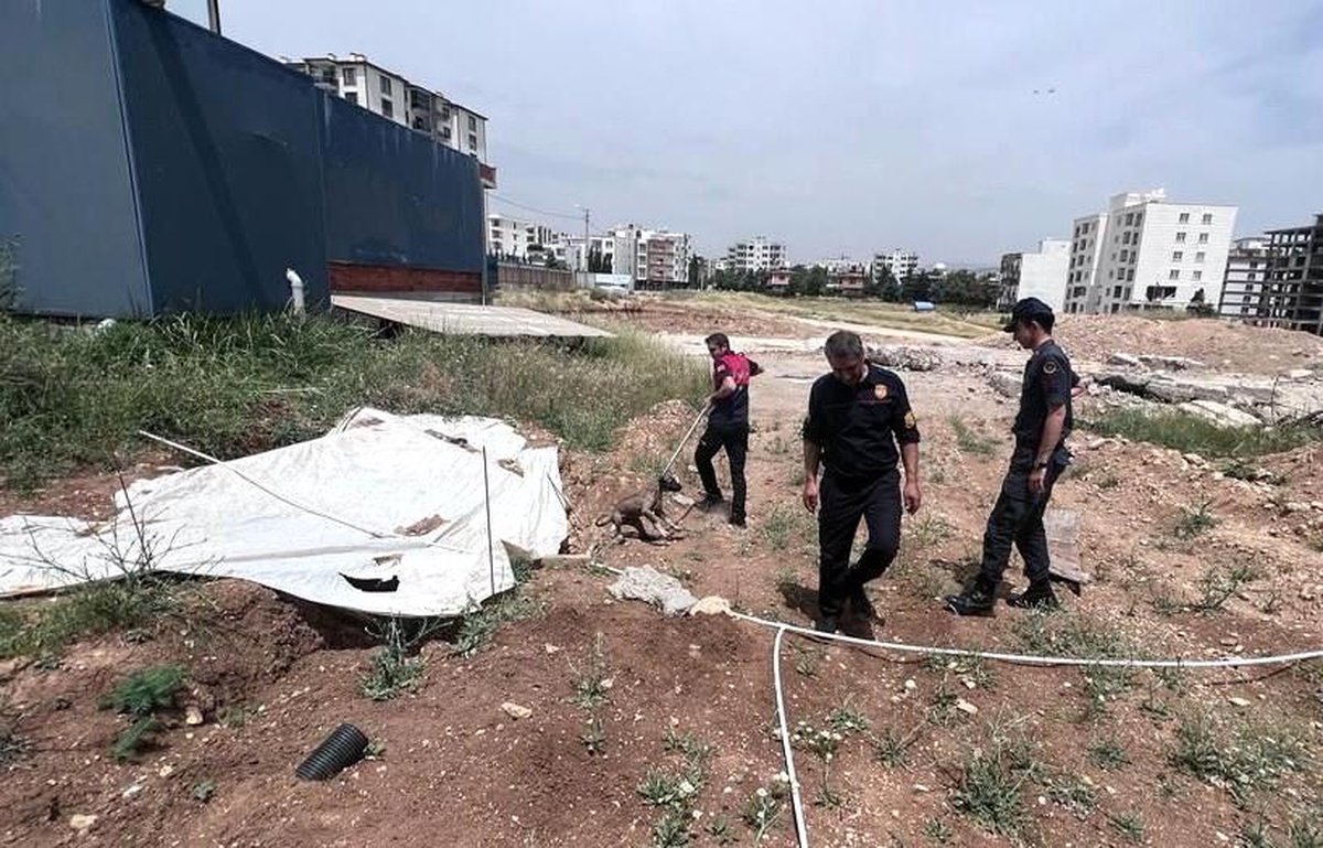 Adıyaman\'da Yavru Köpek Foseptik Çukurundan Kurtarıldı