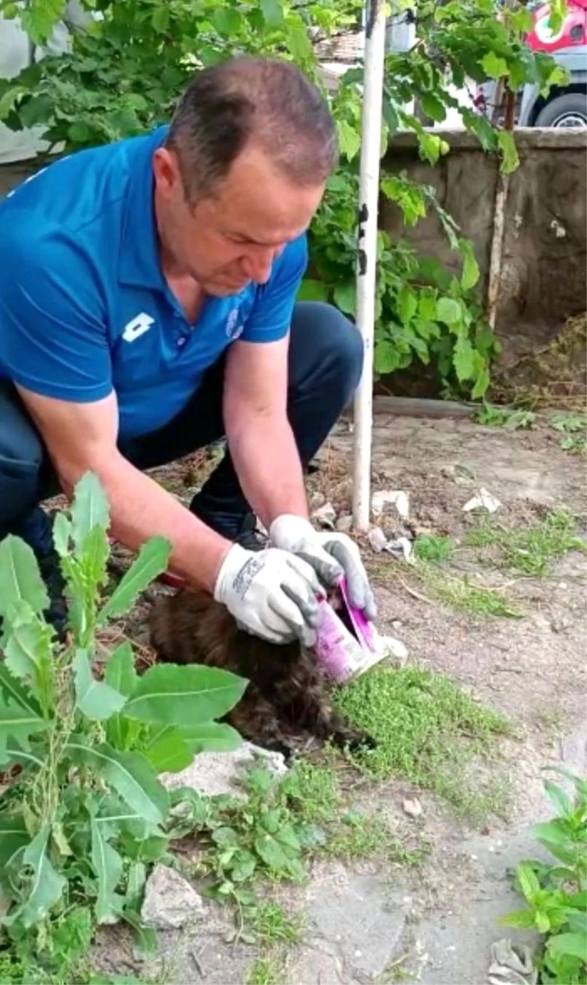 Kayseri\'de Kafası Konserve Kutusuna Sıkışan Kedi İtfaiye Ekipleri Tarafından Kurtarıldı