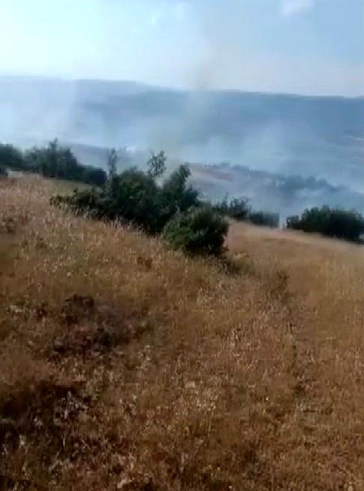 Kilis\'te Elektrik Hattından Çıkan Yangın Kontrol Altına Alındı