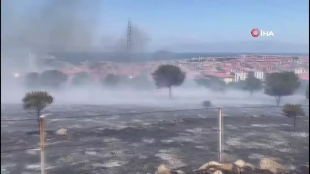 Ayvalık\'ta Kırsal Alan Yangınına Helikopter ve Uçaklarla Müdahale Edildi