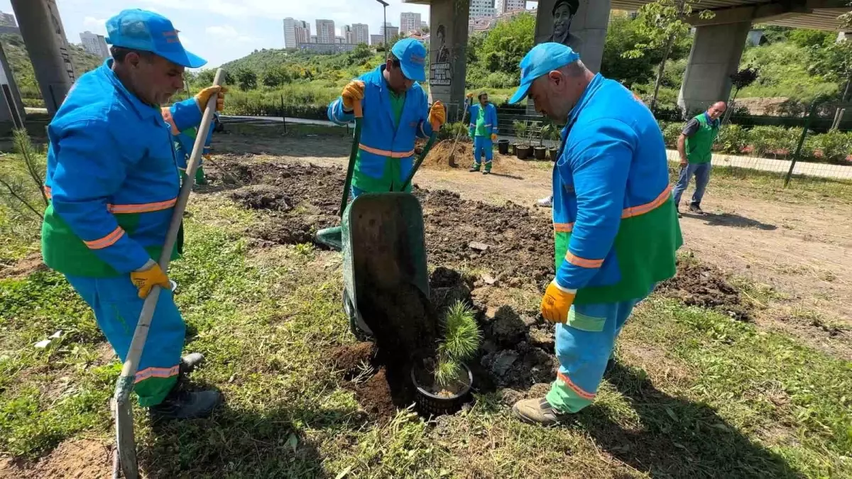 Başakşehir Belediyesi, Bahçeşehir\'de Fidan Üretim Merkezi açtı