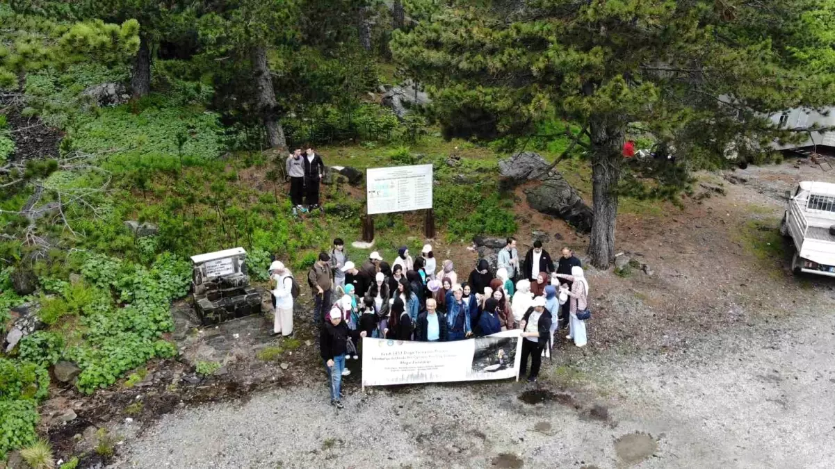 İstanbul\'un Fethinde Rol Oynayan Kazdağı Göknarı Doğa Yürüyüşü Gerçekleştirildi