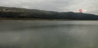 Kuraklıkla boğuşan Burdur Gölü'nde flamingoların dansı
