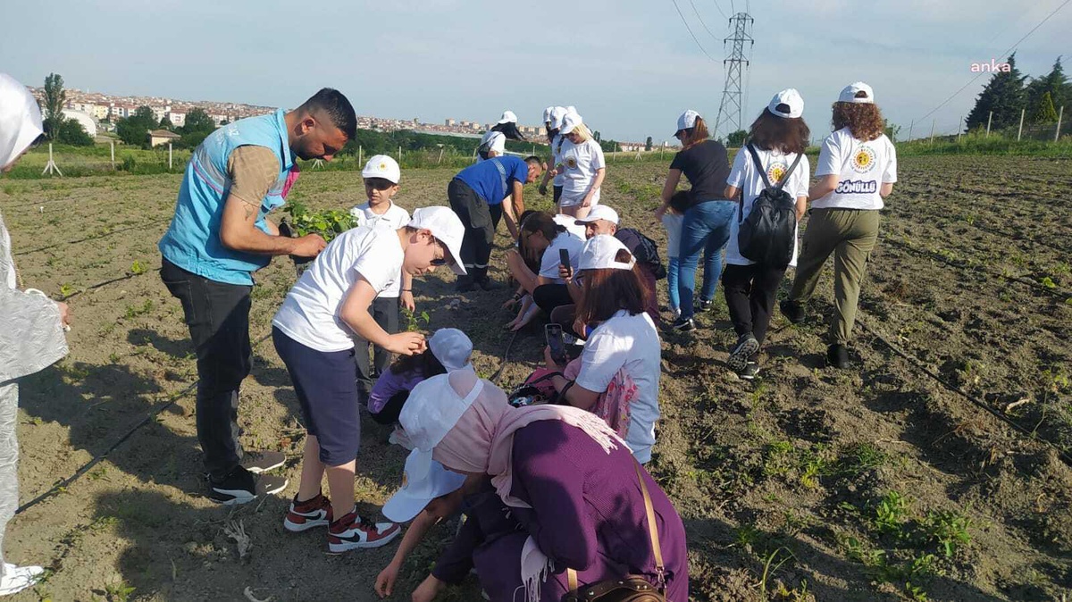 Lüleburgaz Belediyesi Ata Tohumu Etkinliği Düzenledi