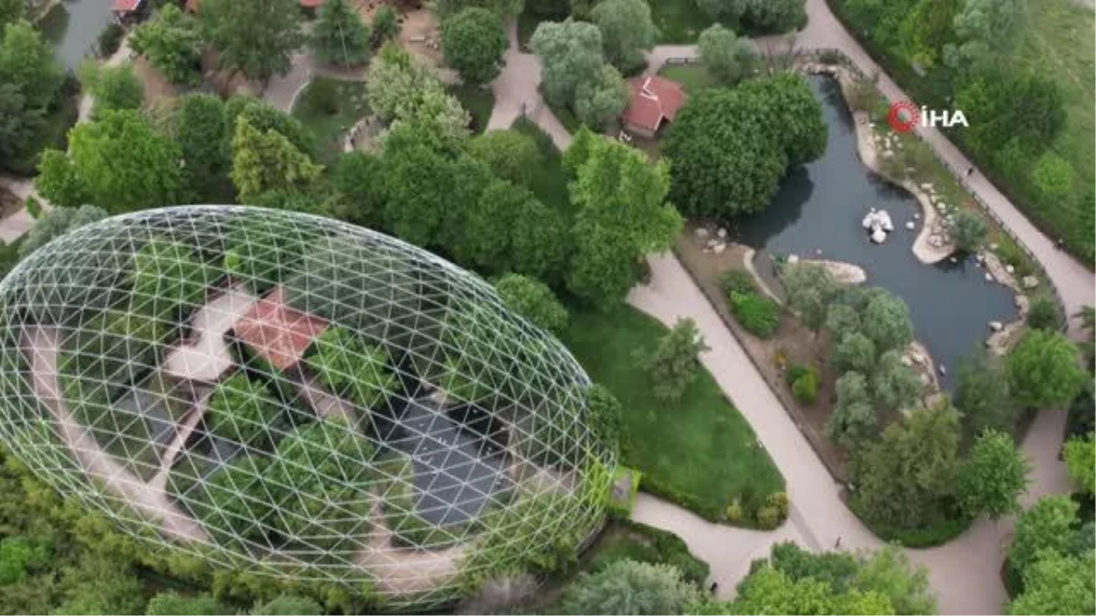 Bursa Hayvanat Bahçesi\'ne Macaristan\'dan kızıl panda getirildi