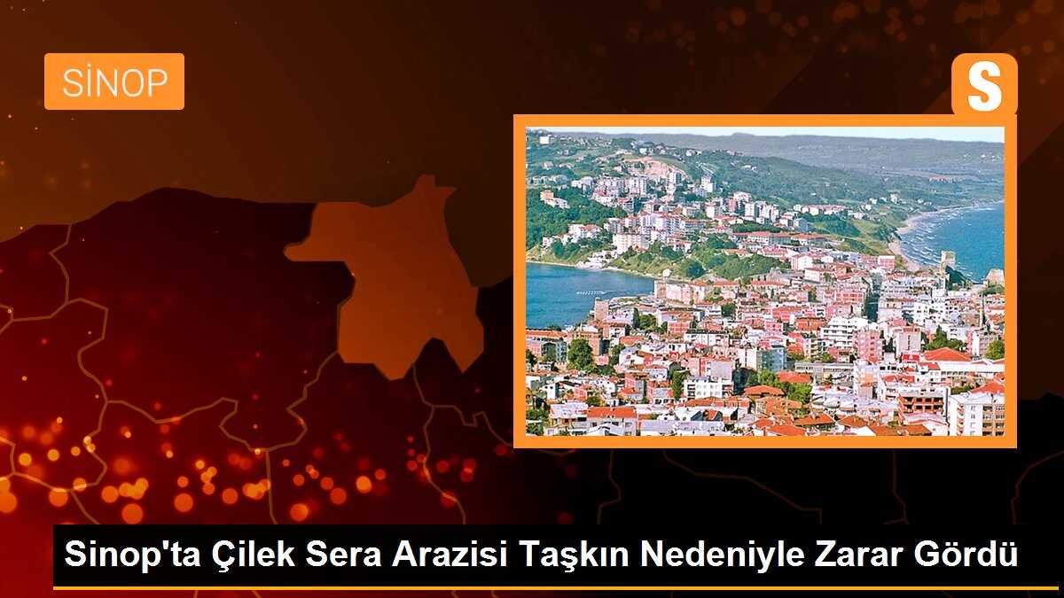 Sinop\'ta Şiddetli Yağış Çilek Seralarına Zarar Verdi